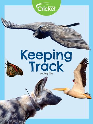 cover image of Keeping Track